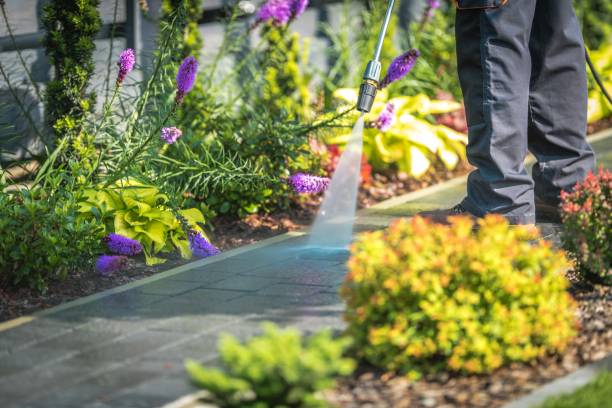 Best Gutter Cleaning  in Dumas, TX