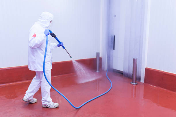 Best Factory Floor Cleaning  in Dumas, TX